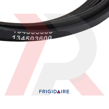 Dryer Drive Belt #134503600